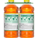 Rear view of two Pine-Sol 2X concentrated bottles showing directions, dilution chart and product information