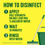 Bright infographic titled 'How to Disinfect' showing three numbered steps and a mop bucket illustration