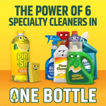 Illustration of Pine-Sol bottle among other animated cleaning product icons with text 'ONE BOTTLE'