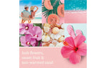 Collage-style lifestyle graphic showing beach, fruit, shells and hibiscus with scent description