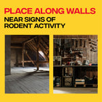 Placement advice graphic with headline 'Place along walls' and two photos of interior spaces where traps can be used
