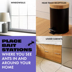 Four-panel infographic showing windowsill, trash can, under-cabinet placements and text to place bait stations where you see ants