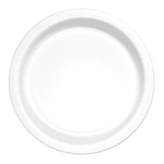 Plain white disposable paper plate shown flat with a slightly raised rim and subtle embossed sections