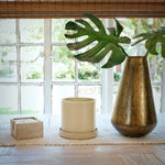 Cream planter with saucer styled on a table beside decorative brass vase and natural light window in background
