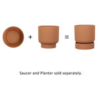 Graphic showing saucer, planter, and combined arrangement with caption stating saucer and planter sold separately.