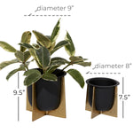 Two black planters in gold stands shown with dimension callouts indicating diameters and heights next to potted foliage.