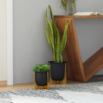 Pair of black metal planters with gold textured stands styled on a floor next to wooden furniture, one holding tall snake plant.