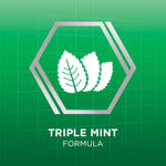 Icon of mint leaves inside a hexagon with text “Triple Mint Formula” on a green backdrop