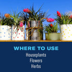 Row of potted plants and planters above text ‘Where to Use’ listing houseplants, flowers, herbs