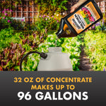 Hand pouring Spectracide Malathion concentrate into a white tank sprayer with a garden bed background and text about gallons.