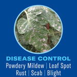 Close-up leaf photo showing powdery mildew spots inside circular frame with ‘‘Disease Control’’ text