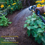 Garden bed being watered from a hose spray with text overlay 'WATER TO ACTIVATE'