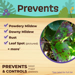 Infographic titled "Prevents" listing powdery mildew, downy mildew, rust and leaf spot with a close-up of a diseased leaf