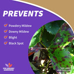 Purple panel graphic titled 'Prevents' listing Powdery Mildew, Downy Mildew, Blight, Black Spot with leaf photo