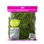 Clear retail bag of ProFlora preserved Spanish moss in vivid true green with visible product label