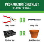 Propagation checklist graphic showing sharp pruner, sharp knife, planting tray and small container images