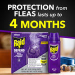 Promotional graphic showing box and a single Raid purple fogger with headline 'Protection from Fleas lasts up to 4 months'