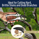 Hand holding Kings County anvil pruning shears near twisted branches with inset showing cut cross-section and 1-inch cutting claim