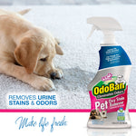 Yellow puppy lying on carpet next to OdoBan Pet Oxy Stain Remover spray bottle with 'removes urine stains & odors' text