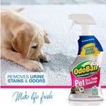 Puppy lying on carpet beside a prominent OdoBan Pet Oxy Stain Remover bottle and text that reads removes urine stains & odors