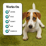 Jack Russell puppy lying on green carpet next to a checklist graphic listing urine, poo, vomit, air and fabrics