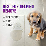 Graphic of puppy on tile next to text listing pet odors, dirt and grime as removable