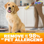 Lifestyle-style image with a puppy in foreground and a person dusting with a Swiffer Duster in the background