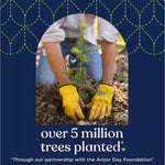 Photo of gloved hands planting a small tree with text stating ‘over 5 million trees planted’ on product graphic