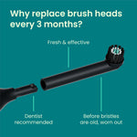 Exploded view of a black Quip Rev brush head and handle with text explaining replacing brush heads every three months