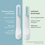 Side-by-side comparison graphic of two Quip brush heads labeled “Whitening Sonic Brush Head” and “Soft Sonic Brush Head.”
