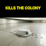 White plastic ant bait station on a floor with ants approaching, shown under large yellow text 'KILLS THE COLONY'.
