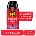 Close-up of a Raid Ant & Roach aerosol can with lavender-scent label and callout text
