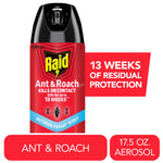 Red Raid Ant & Roach aerosol can with Outdoor Fresh scent label and 13 weeks claim on a white background