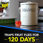 Raid apple-shaped fruit fly trap placed next to a cream metal compost bin in a kitchen setting with branding