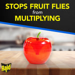 Single red apple-shaped Raid fruit fly trap sitting on a wooden surface with headline about stopping fruit flies