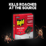 Raid Roach Baits box on a dark background with white text reading kills roaches at the source and two cartoon roaches