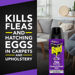 Raid Flea Carpet & Room spray can pictured in a living room scene with text about killing fleas and hatching eggs