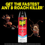 Raid Ant & Roach aerosol can flanked by animated ant and roach characters with bold promotional headline
