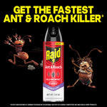 Raid Ant & Roach can centered with stylized ant and roach characters and bold product headline