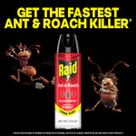 Raid Ant & Roach can centered with two cartoon pests and headline ‘Get the fastest ant & roach killer’