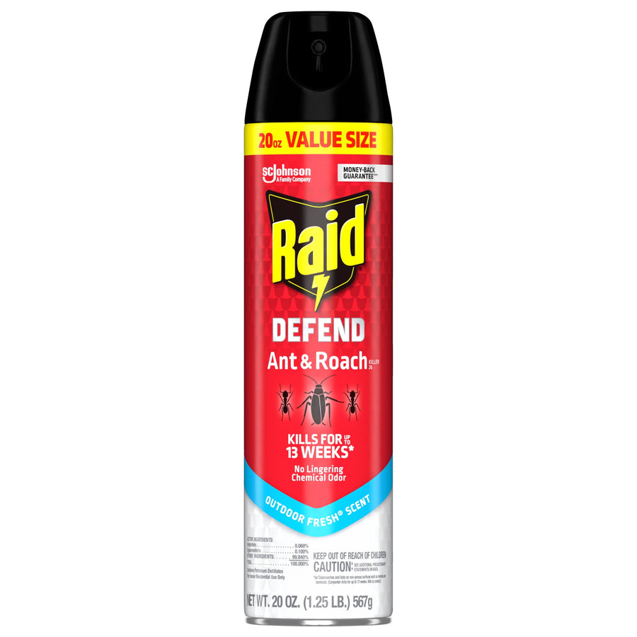Single red Raid Defend Ant & Roach aerosol can with black cap photographed on a white background