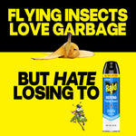 Graphic with a banana peel on a yellow background and a Raid Defend can, with bold text saying 'FLYING INSECTS LOVE GARBAGE BUT HATE LOSING TO'.