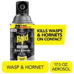 Close-up of a Raid Defend wasp & hornet aerosol can with bold yellow callout reading kills wasps & hornets on contact