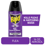 Single purple Raid Flea Carpet & Room aerosol can with banner stating "Kills Fleas & Hatching Eggs" and product callouts