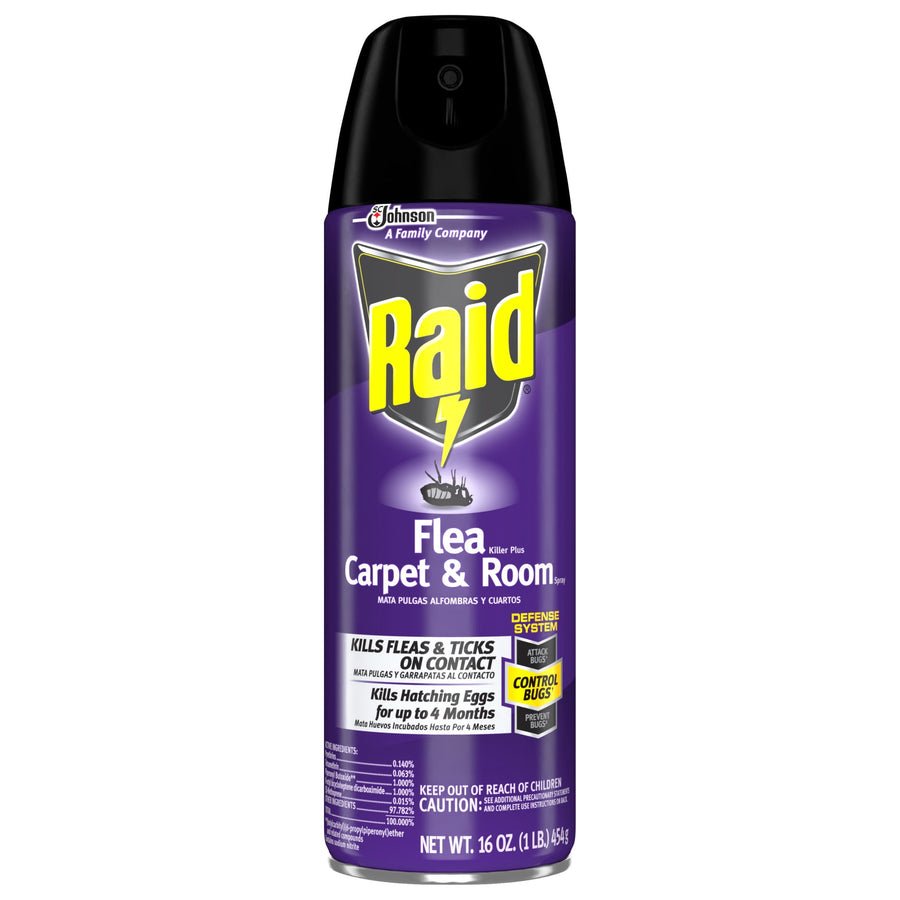 Single purple Raid Flea Carpet & Room spray can with black actuator nozzle on a white background, product label visible.