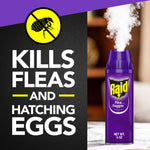 Raid purple fogger can emitting mist next to large text reading "Kills Fleas and Hatching Eggs"