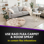 Bright living room and carpet image with text promoting use of Raid Flea Carpet & Room spray to contain flea infestations