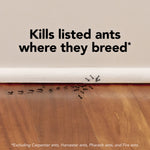 Row of ants along a baseboard beneath bold text stating 'Kills listed ants where they breed' with a small exclusion footnote.