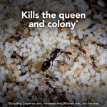 Macro image of ants and ant larvae clustered together with overlay text 'Kills the queen and colony' and a small exclusion note.