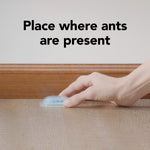 Hand placing a clear plastic Raid bait station on a floor next to a baseboard under text 'Place where ants are present'.